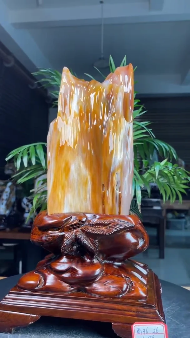 未镶嵌硅化玉（树化玉）珠宝奇石2758（带座高度36厘米）