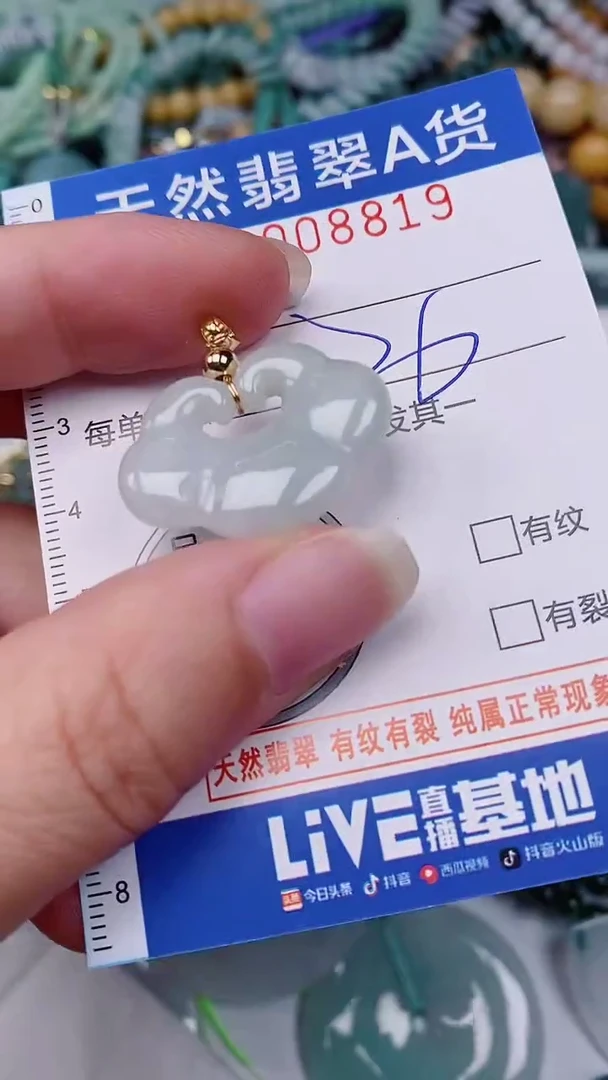 翡翠未镶嵌颈饰00008819