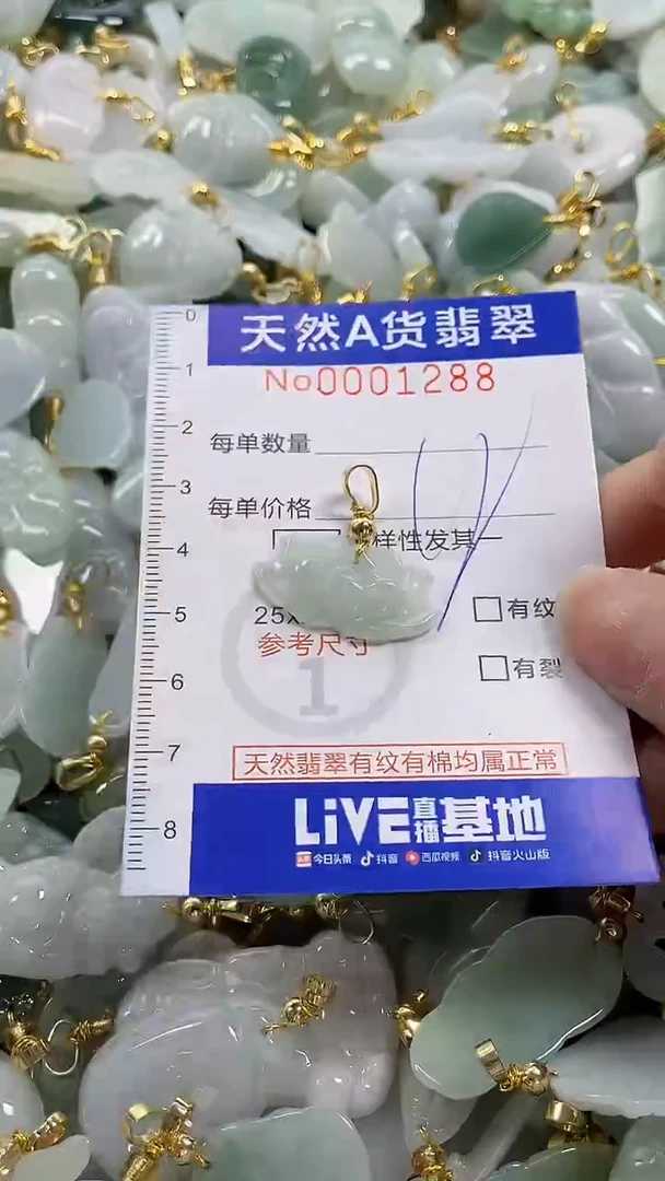 颈饰未镶嵌翡翠纯天然货翡翠