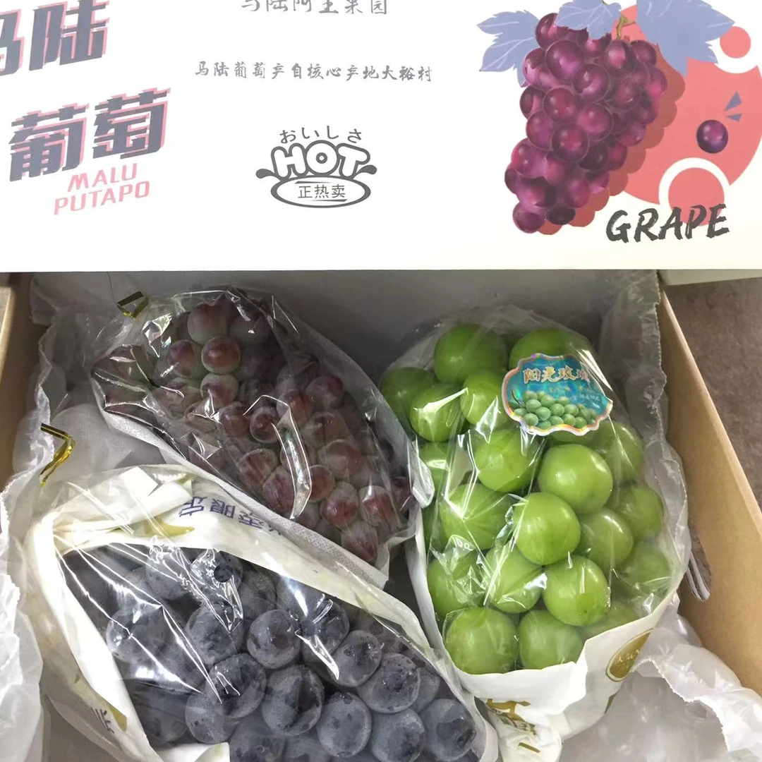马陆葡萄三拼,玫瑰香+黑加仑+阳光玫瑰