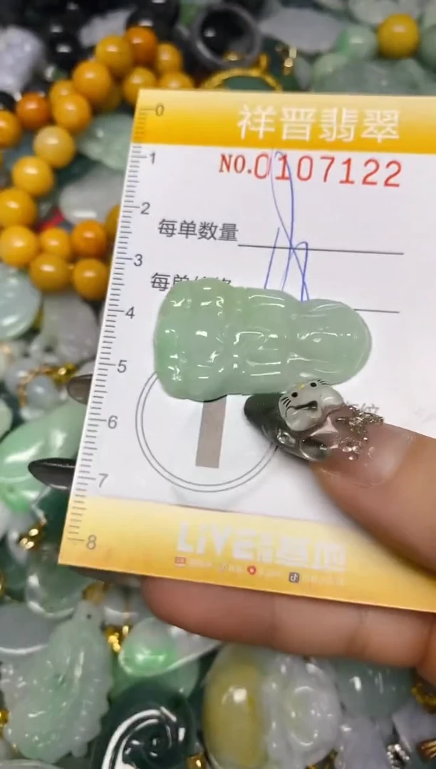 【闪购商品】翡翠颈饰未镶嵌闪购0107122