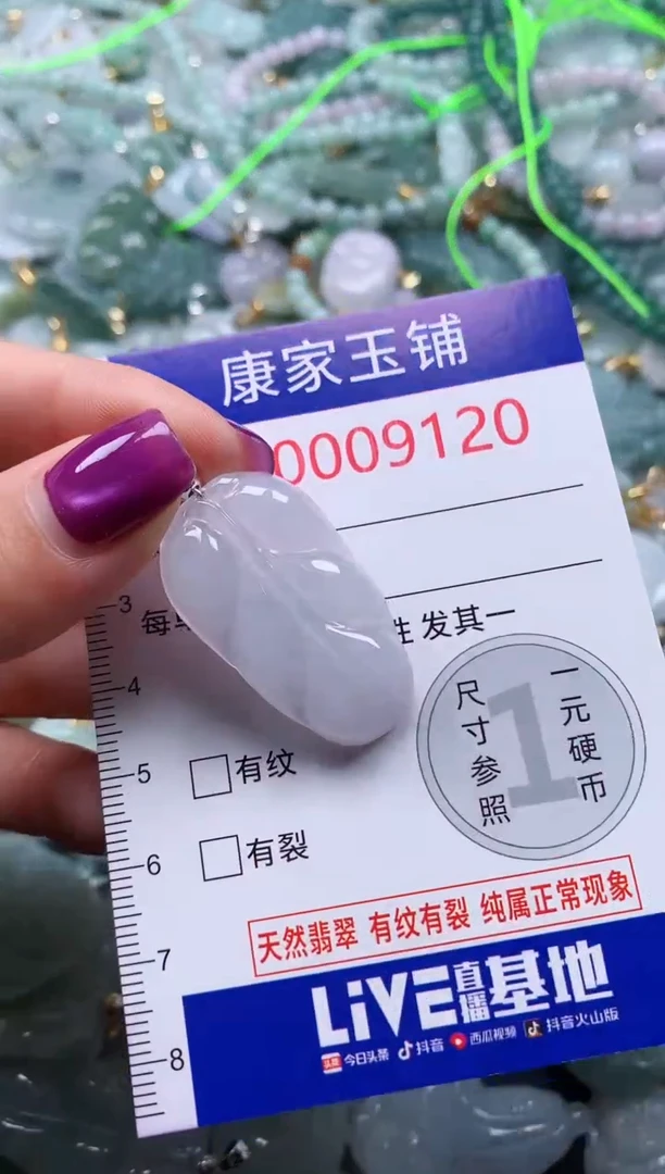 颈饰未镶嵌翡翠9120