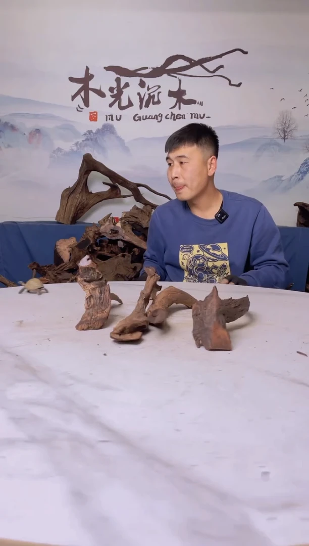 【闪购商品】a415木光沉木木光沉木