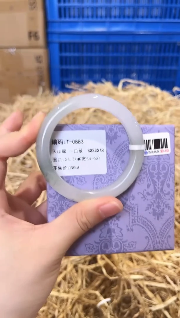 未镶嵌手镯石英质玉T-0883