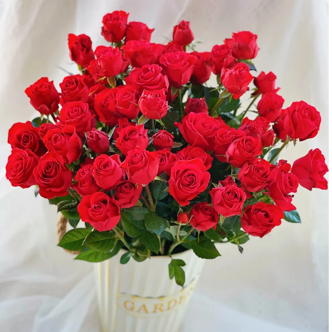 【霓虹泡泡】高等级玫瑰/全场1单送货上门（2单升级顺丰包邮）