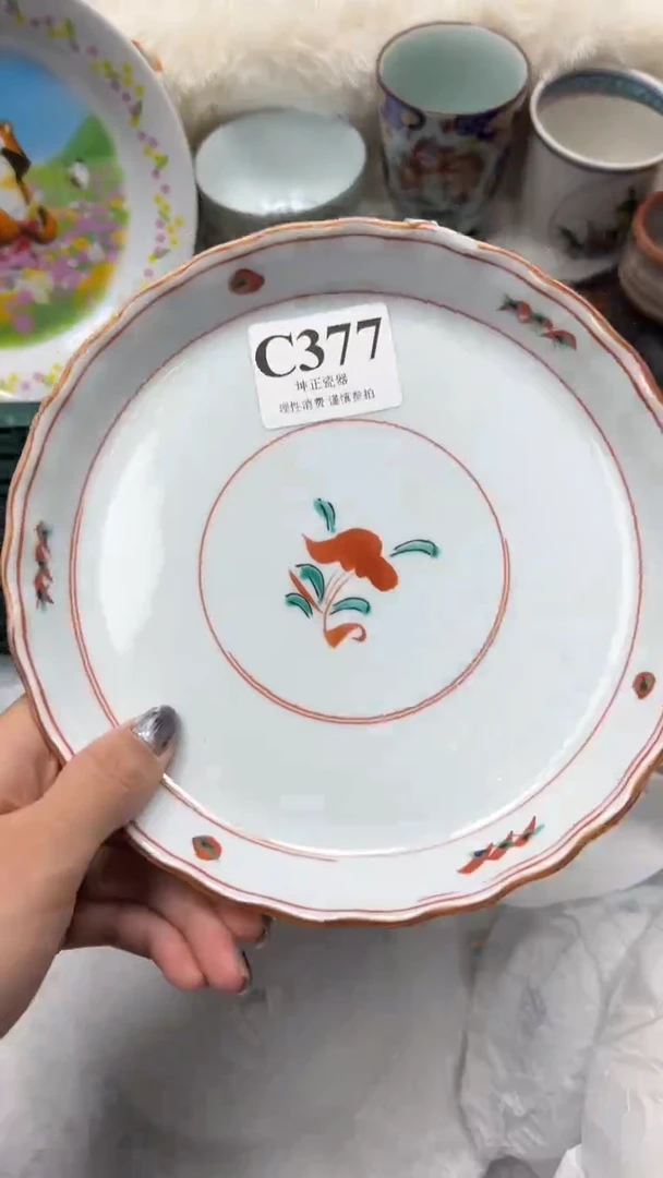 【闪购商品】瓷片          C377