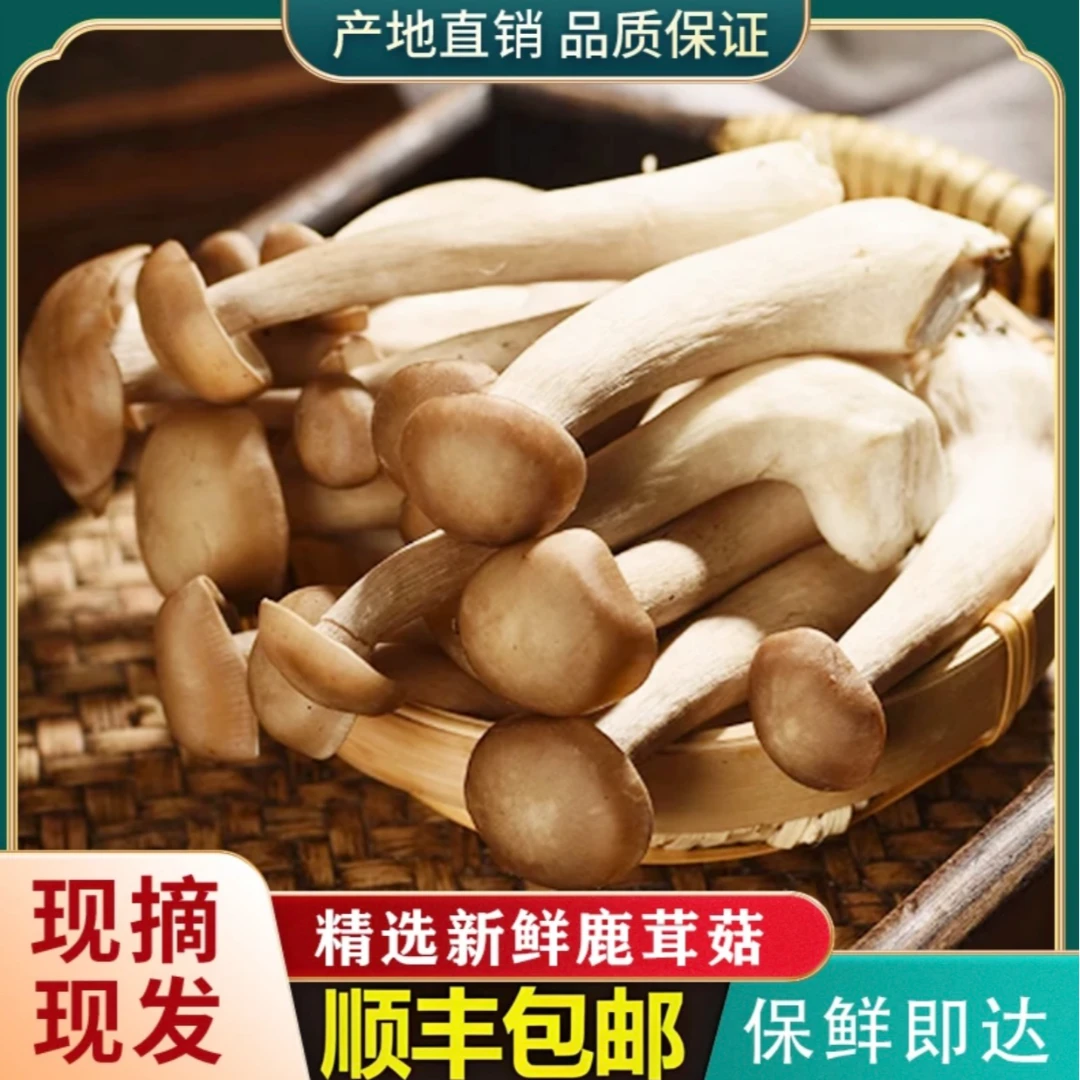 （顺丰京东发货）【新鲜采摘】精选超值装煲汤炖汤营养饱满食用菌