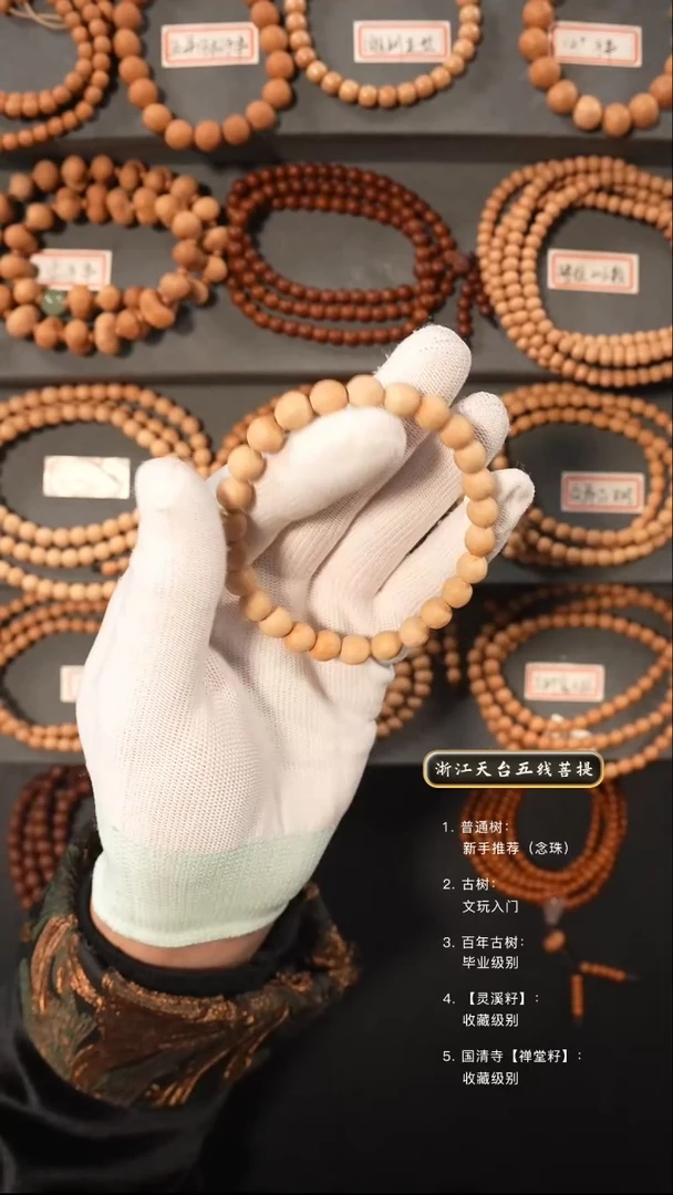 【闪购商品】五线菩提吊坠古树籽原皮手串