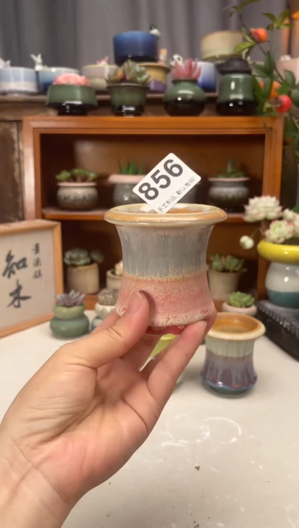 瓷片漫***好856知木小芳花盆