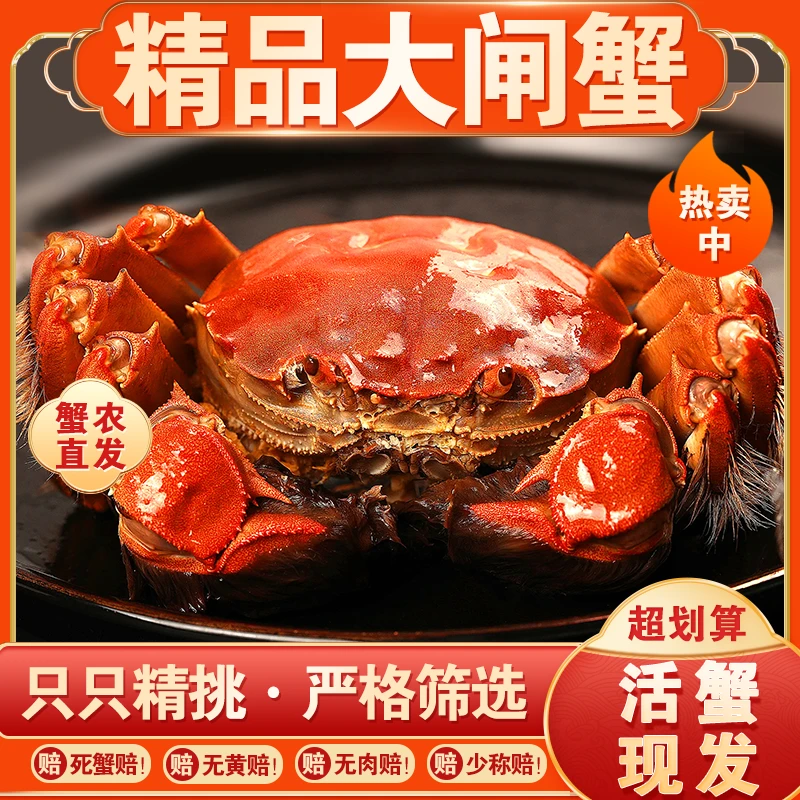 【活蟹】江苏精品大闸蟹母蟹2.5两公3两8只加2只再送2只精挑现货