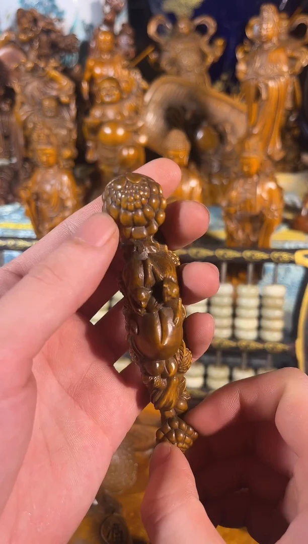 黄杨木011111111111