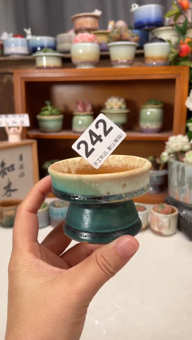 瓷片242知木小芳花盆直播编号