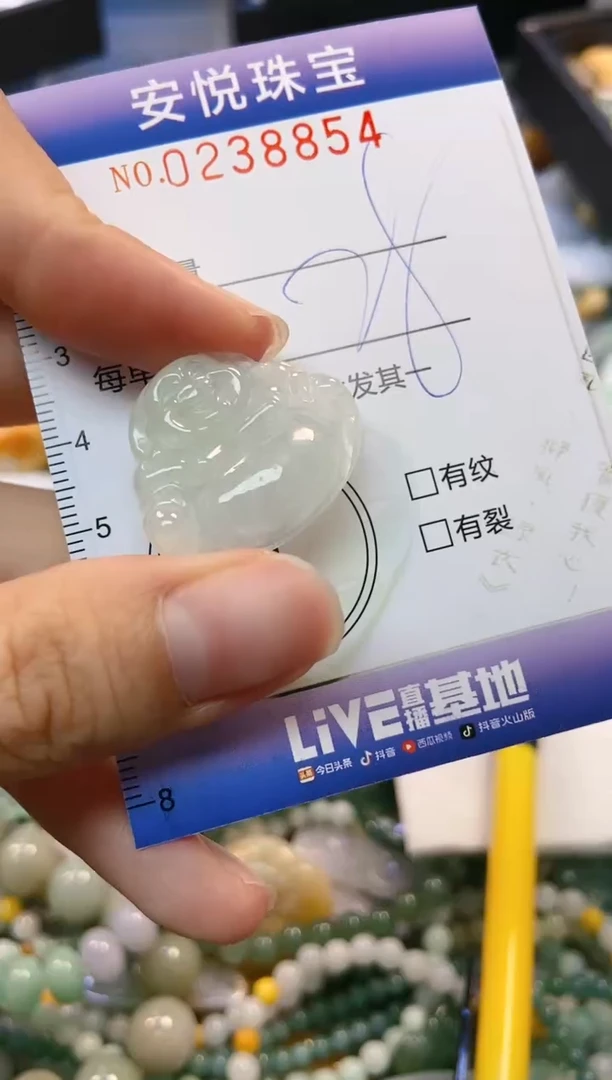 翡翠未镶嵌颈饰闪购0238854