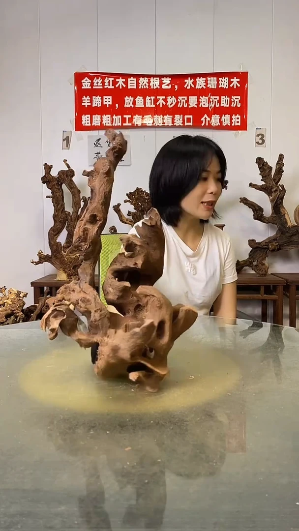 香榧木y*n金丝红木   羊蹄甲