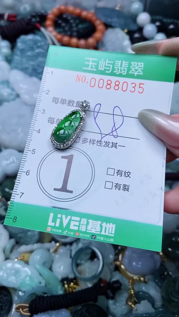 【闪购商品】翡翠颈饰未镶嵌闪购0088035