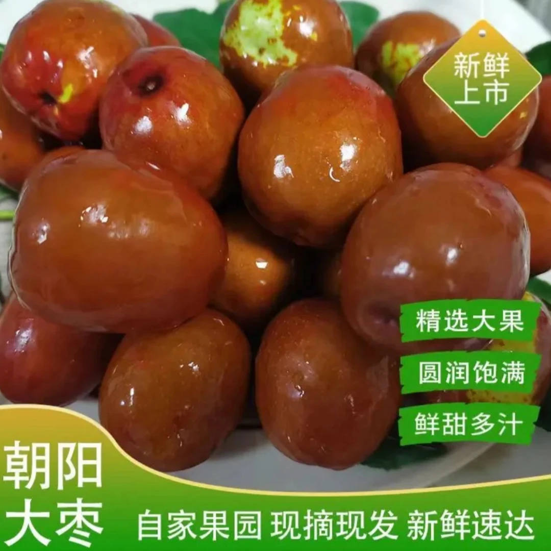 正宗朝阳圆玲大枣现摘现发净重3-5斤脆甜多汁核小肉厚精品果包邮