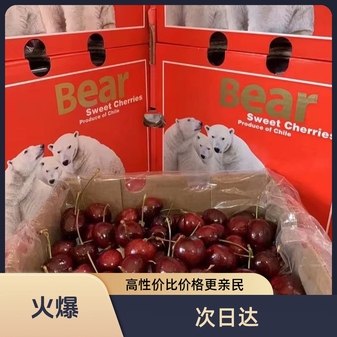 冰熊2JD桑提娜车厘子500g