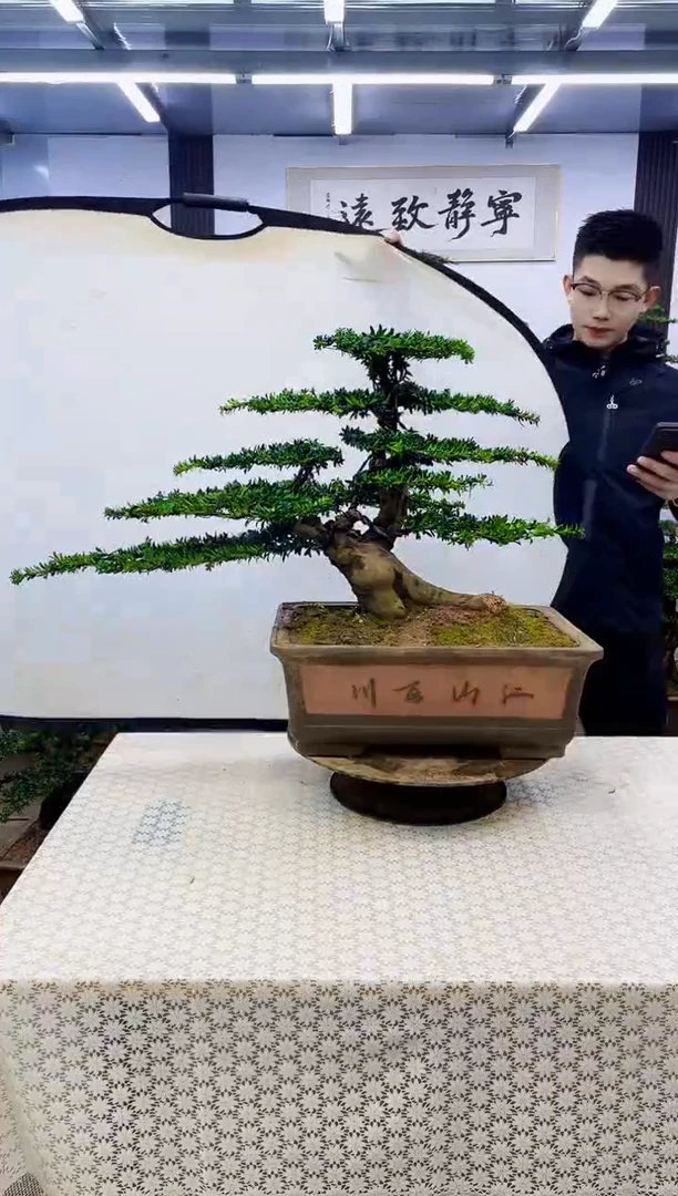 无花朵000000000000000000