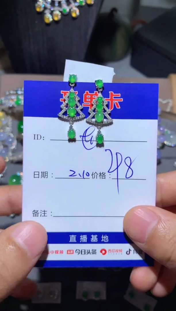 【闪购商品】翡翠耳饰银S925镶嵌向 江南世玉