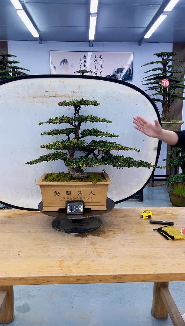 以实际为准000000