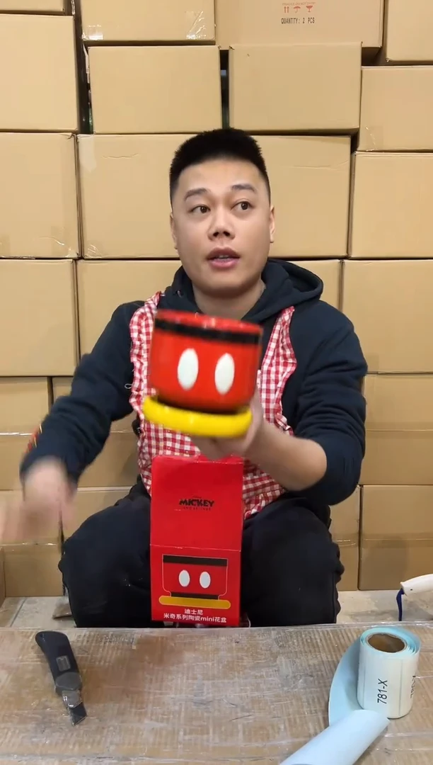 【闪购商品】杯原盒米奇花盆 陶瓷