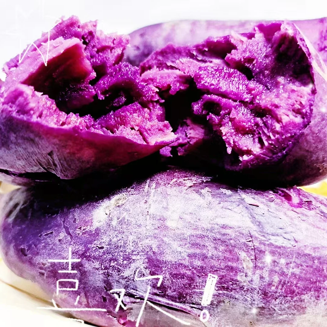 紫薯、秦八、西瓜红、哈密、红瑶、榴莲蜜薯高剪红薯苗地瓜苗