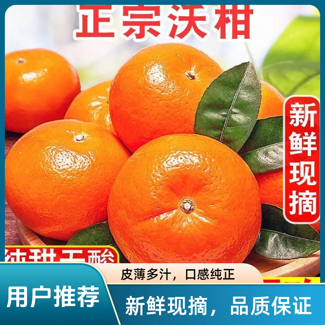 【ZDM沃柑】当季新鲜水果老树花皮高原水果现摘现发60-70mm 带箱9斤