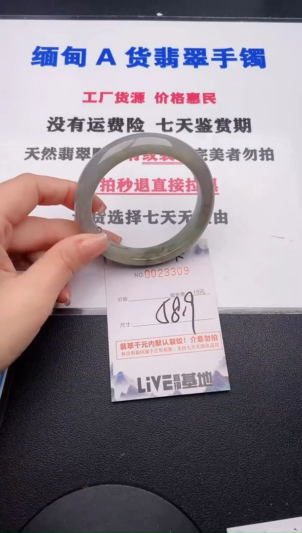 未镶嵌手镯翡翠09