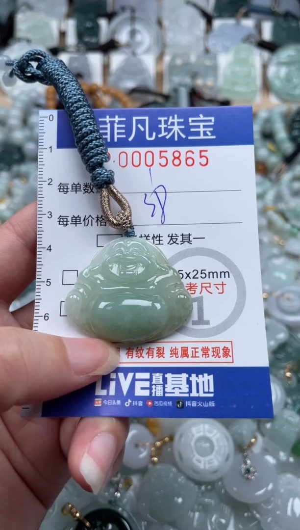 翡翠未镶嵌颈饰00..5865