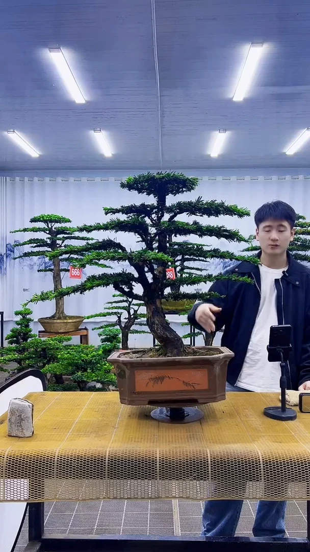 美***己000000000000000000