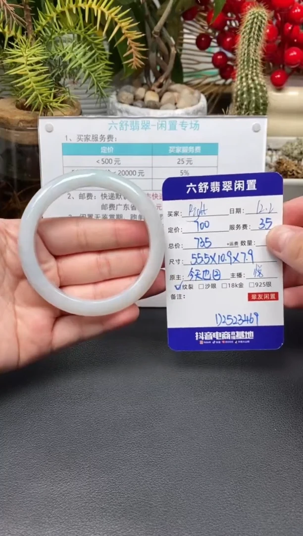 未镶嵌手镯翡翠R***tD2523469