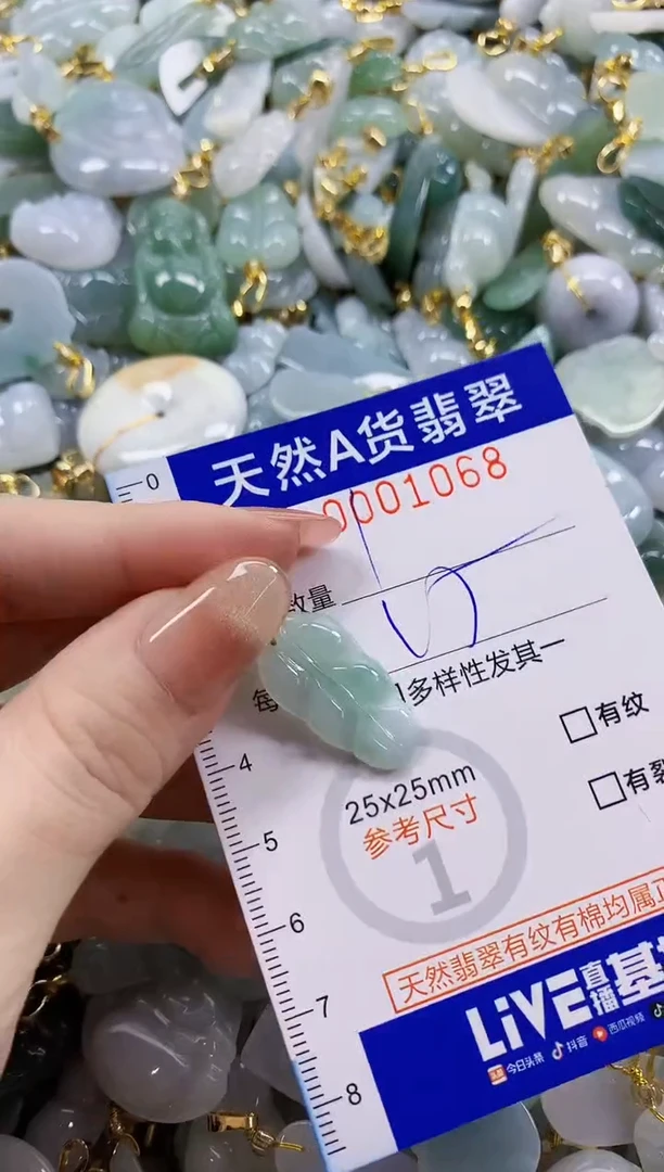 颈饰未镶嵌翡翠天然A货翡翠