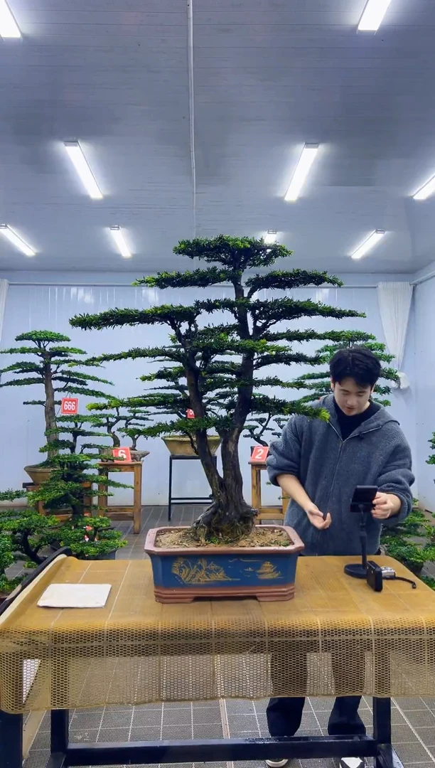 海**鹏000000000000000000