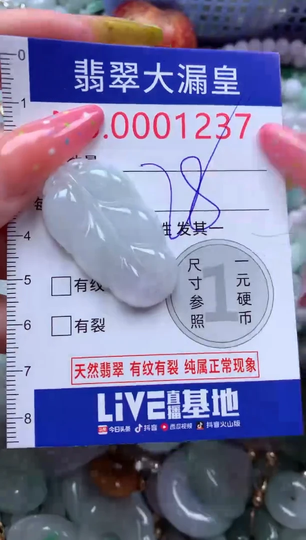 翡翠未镶嵌吊坠(不含链)1237