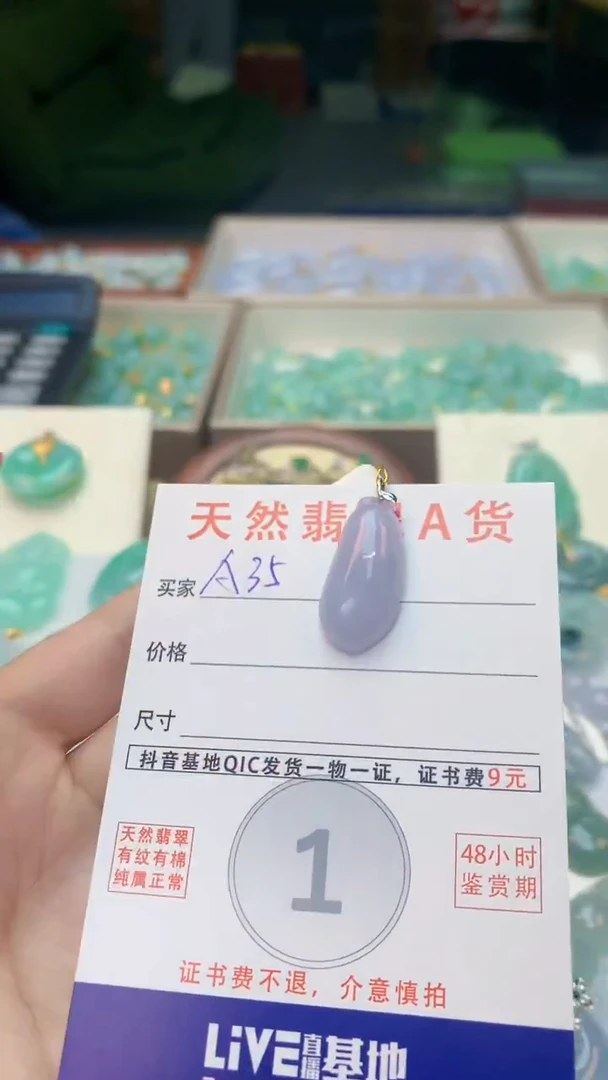 颈饰未镶嵌翡翠天然A货翡翠挂件