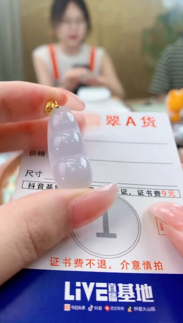 颈饰未镶嵌翡翠天然A货翡翠挂件