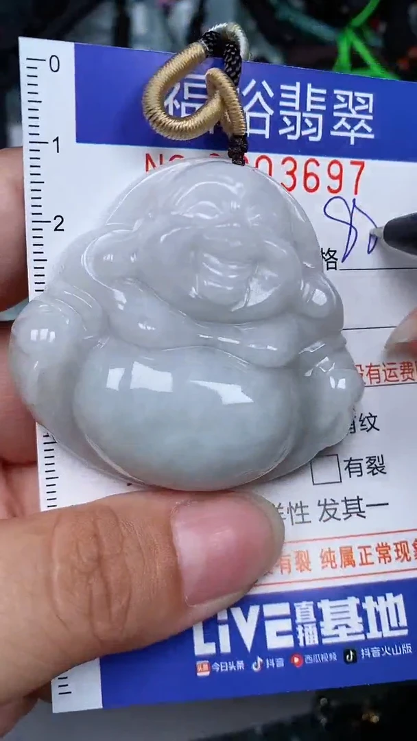 翡翠未镶嵌颈饰...0003697