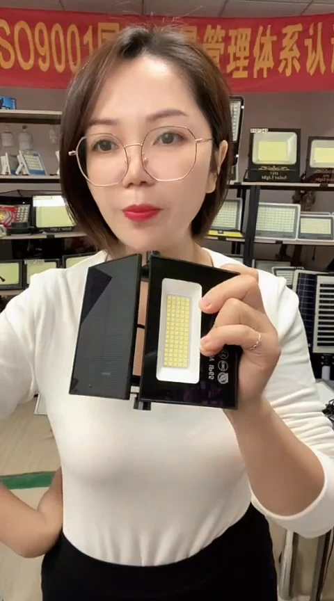 【YOYO】限时抢购太阳能灯户外灯应急灯家用照明壁灯