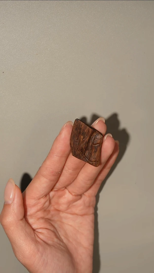 沉香沉香碎屑老惠安沉水节节高虫漏香料2克