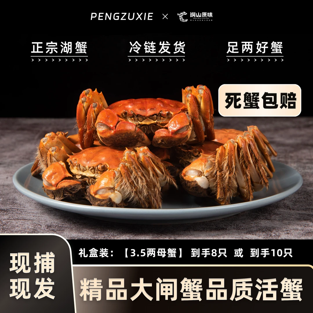 【活蟹】3..7两-3..4两 8+2只全母苏州精品大闸蟹 鲜活现捞包邮上门