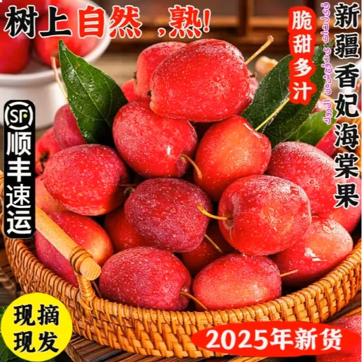 【顺丰次日达】鸡心果正宗新疆香妃海棠当季新鲜水果摘现发脆甜多汁