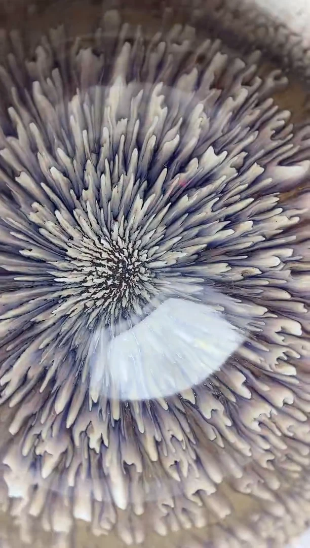 茶盏银丝水芽 盏三疯建盏茶器