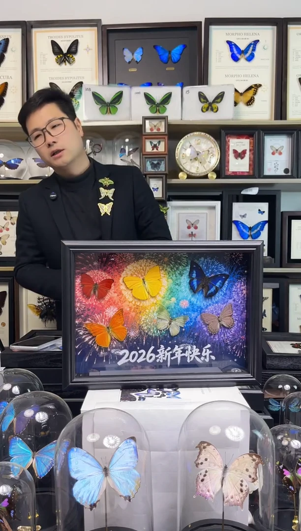 【2026新能年快乐】-6彩蝶组合设计款A4框