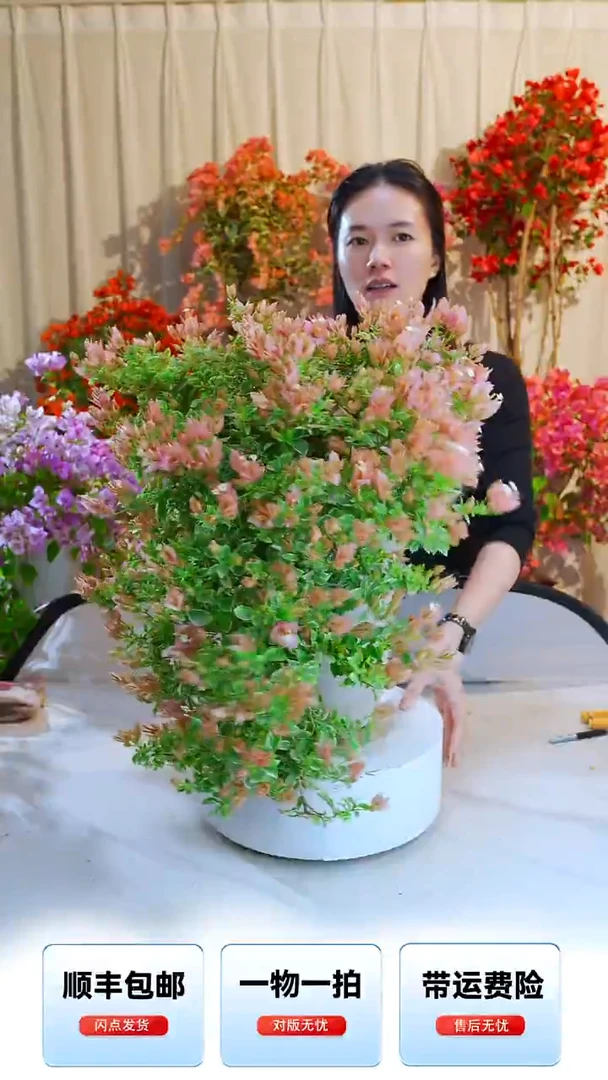 大部分开放少量花苞陆*哥少女心