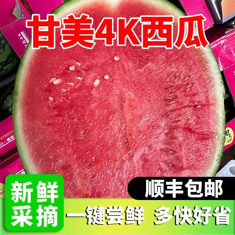 甘美4K西瓜【顺丰包邮】5~12斤新鲜采摘露天种植少量黑籽鲜美多汁广西壮族自治区广西壮族自治区