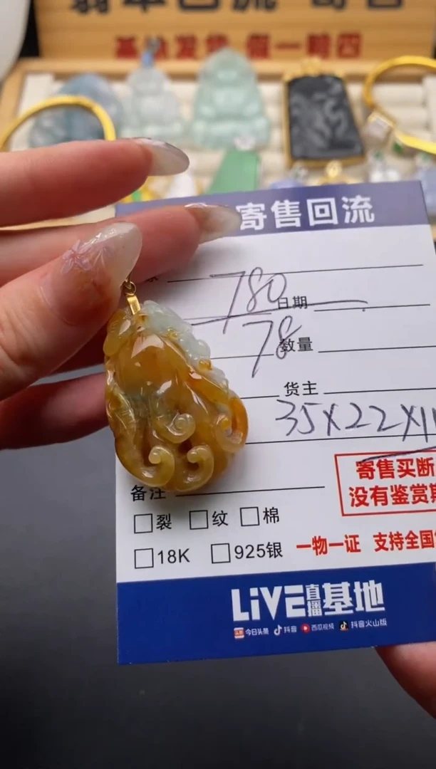 翡翠未镶嵌颈饰10135656