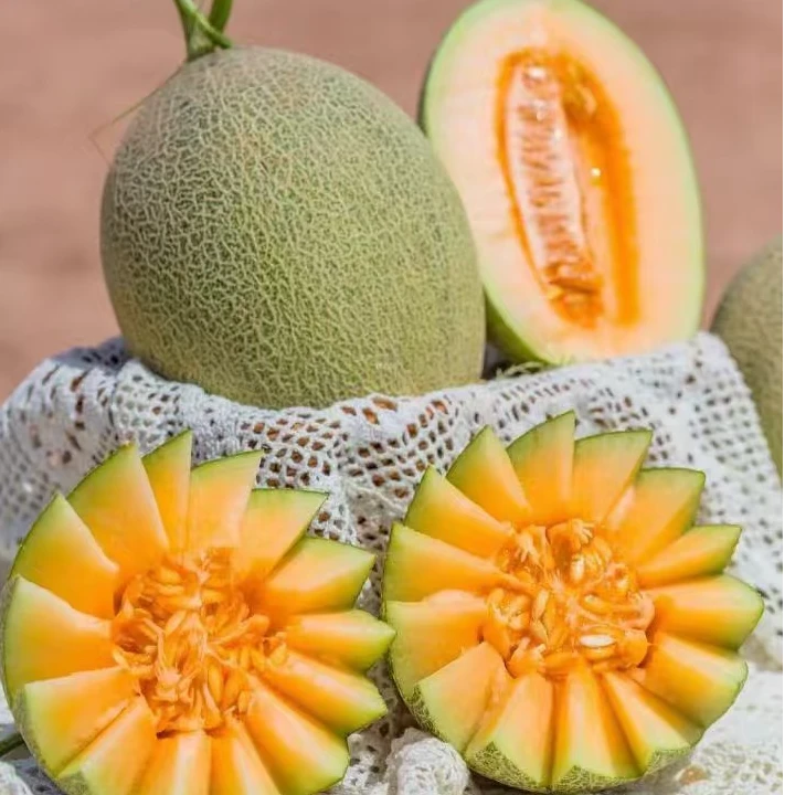 山河田园 哈密瓜1到2颗2.7斤到6斤左右