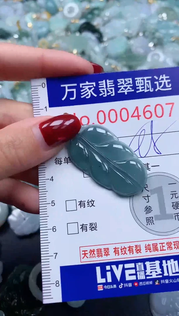 颈饰未镶嵌翡翠4607