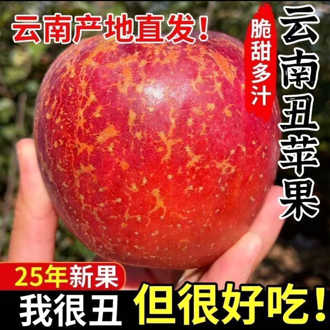 云南高原丑苹果新鲜现摘当季水果包邮酸甜多汁