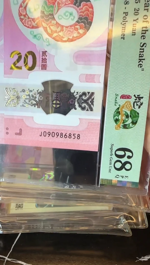 塑料2025 蛇钞 单张 如图 啊啊啊